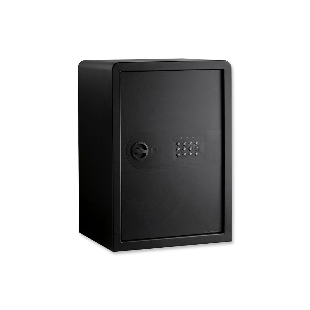 Antitheft password safe