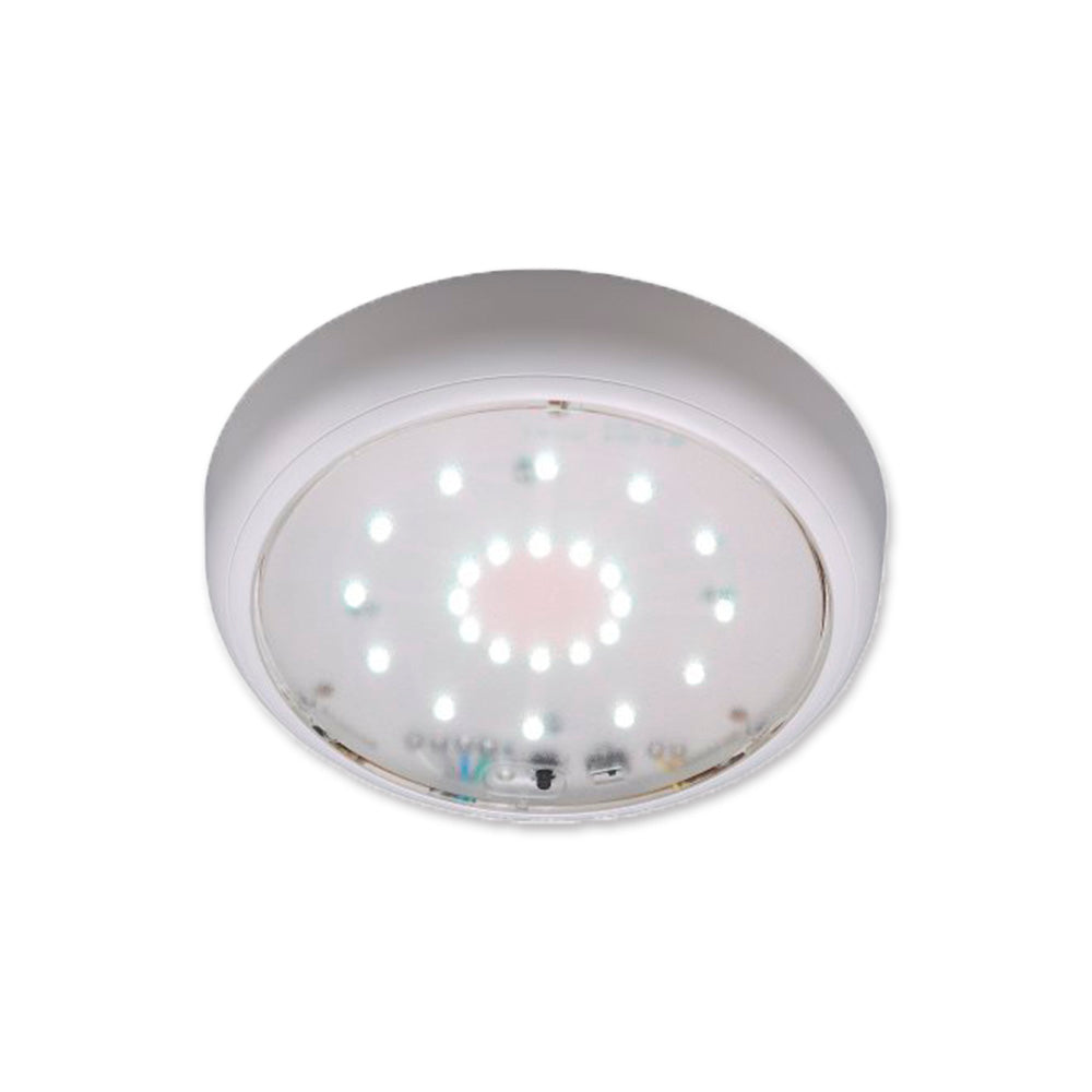 Ceiling-mounted or wall-mounted emergency light