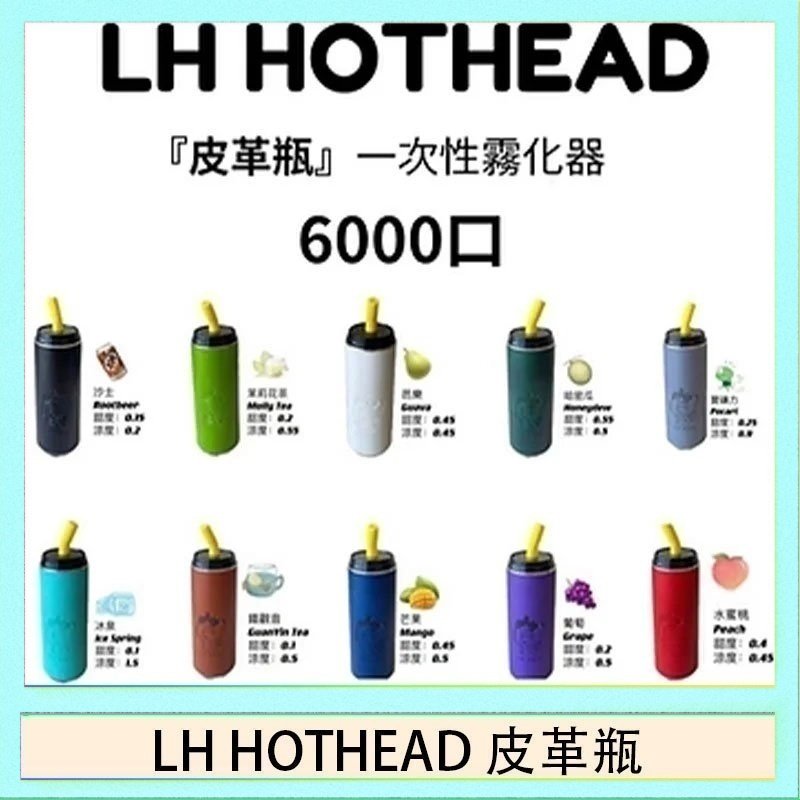 LH HOTHEAD皮革 LH HOTHEAD皮革瓶電子煙可充電6000口一次性